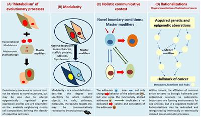 Anakoinosis: Correcting Aberrant Homeostasis of Cancer Tissue—Going Beyond Apoptosis Induction